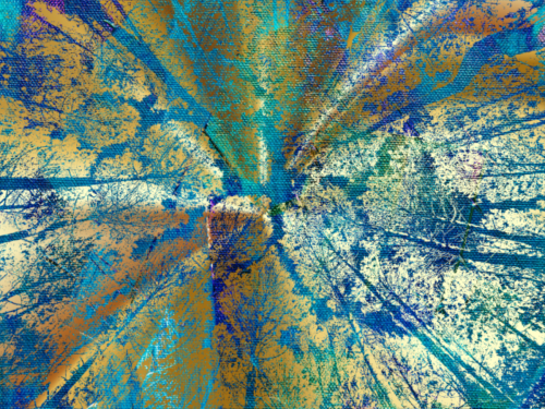 g368684-Medium-Small